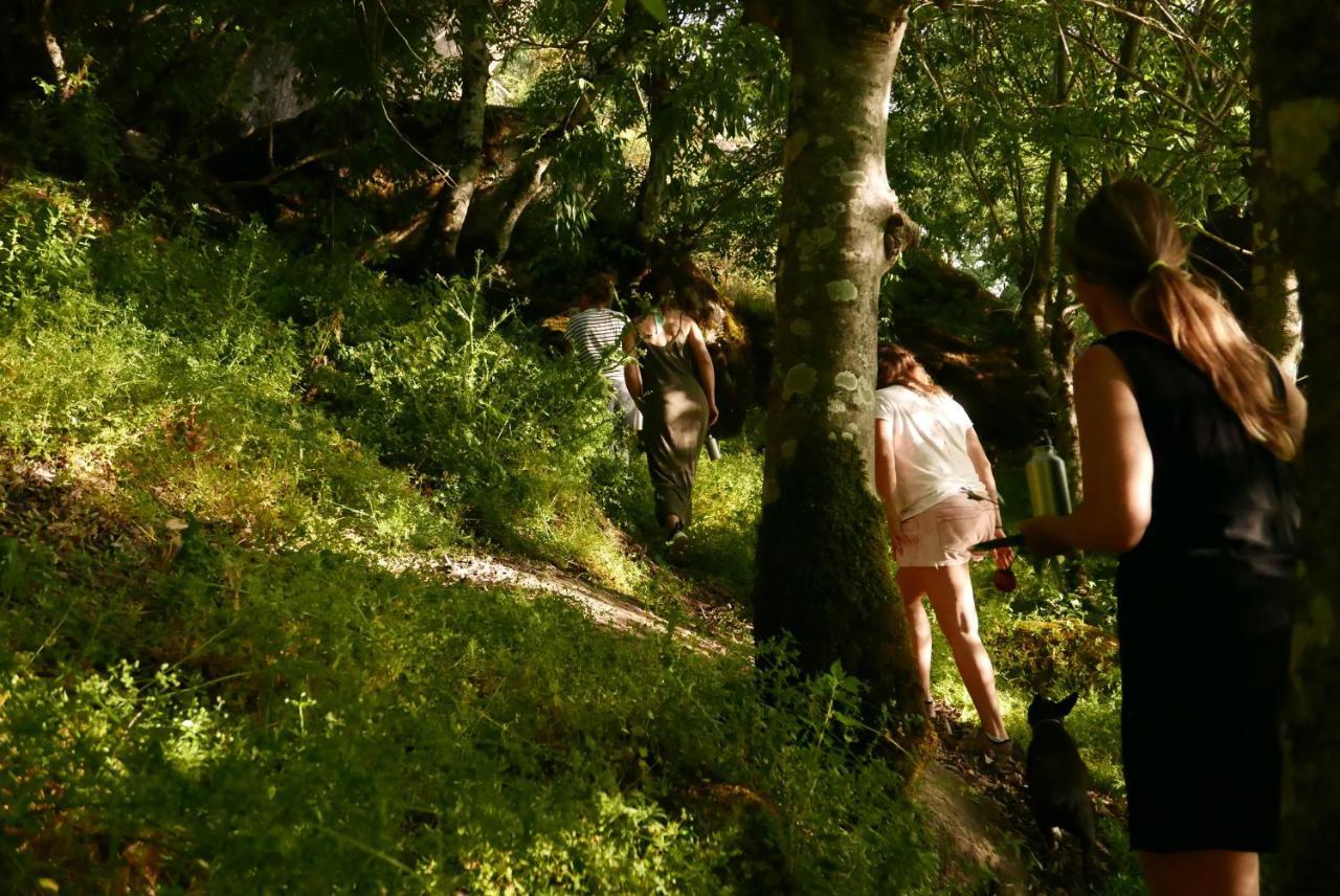 Quinta De Sao Pedro De Vir-A-Corca Em Monsanto Bed & Breakfast Exterior photo